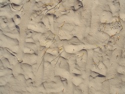 Dunes top view texture with dune grass. Sand background with wind waves on surface