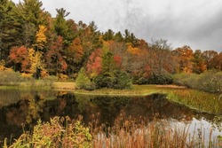 Little Glad Mill Pond in autumn attire along the North Carolina Blue Ridge Parkway.