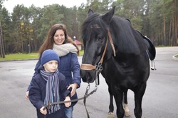 A little boy holds a black horse by the reins. The communication of the child with the animal. The woman smiles and looks after the boy. Walk with your child in the Park in autumn.