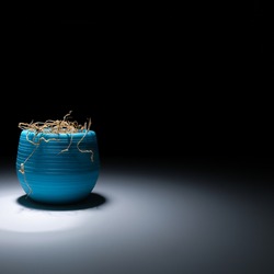A faded flower in a blue vase on a black background. The wilted plant is illuminated with white light. A dried flower in a pot glows with light in the dark. Dry houseplant. A dead flower.