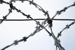 Barbed wire on a light background. Fence close-up. The fence is close. Background.