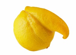 Ugly food, funny vegetable shape concept. Funny shape lemon on a white background. Clipping path