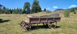 Horse wagon or buggy, also called road wagon, light, hooded  four-wheeled carriage of the 19th and early 20th centuries, usually pulled by one horse. Roswell, Gorski Kotar, Croatia