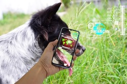 The concept of using artificial intelligence (AI) to find lost or lost pets.