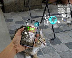 The concept of using artificial intelligence (AI) to find lost or lost pets.