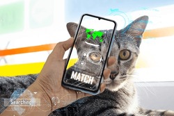 The concept of using artificial intelligence to find lost or lost pets.