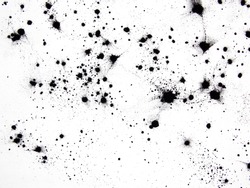 Black ink spots on a white background.