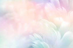 Abstract feather rainbow patchwork background. Closeup image of white fluffy feather under colorful pastel neon foggy mist. Fashion Color Trends Spring Summer 2019 - soft focus.