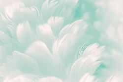 White fluffy feather closeup - pale Tiffany blue to robin egg greenish color background - and new coming Jade Evanescence color of Fashion Color Trends - Spring Summer 2017