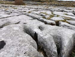 The karst landscape of limestone rocks