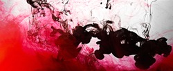 Closeup of a red and black ink in water in motion isolated on white. Ink swirling underwater. Colored abstract smoke explosion effect. Abstract background with copy space..