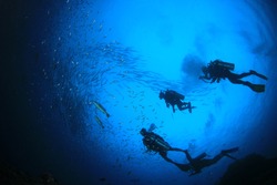 Scuba dive underwater coral reef