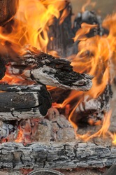logs in the fire