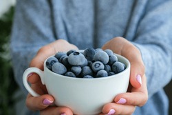 Woman holding bowl with Frozen blueberry fruits. Harvesting concept. Female hands collecting berries. Healthy eating concept. Stocking up berries for winter Vegetarian vegan food. Dieting nutrition