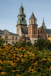 Summer view of Wawel Royal Castle in Krakow, Poland. Historical place in Poland. Flowers on foreground. Beautiful sightseeing with Wawel Royal Castle and colorful flowers in Krakow, Poland