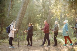 Blond woman coach, sports trainer with group of people teach Scandinavian, Nordic walking exercises with sticks in the forest, nature. Healthy way of life. Exercises hiking education for team people. 