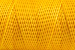 A coil of yellow thread. Spool of colored threads on a white background. Waxed sewing thread for leather crafts.