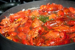 crawfish cooking in a large pot