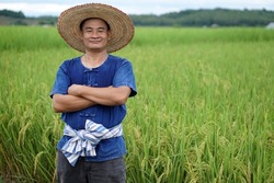 Asian male farmer wear hat ,cross his arms on chest and stands at paddy field. Feel happy, confident and proud in crops. Concept : Agricultural occupation. Thai farmer.                              