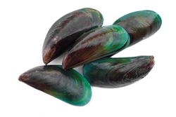 Mussels isolated on white background. Concept : edible seafood that can cook for variety menu.                          
