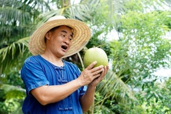Asian man gardener holds organic coconut fruit, feels excited and happy. Concept : Agriculture crop in Thailand. Thai farmers grow coconuts 