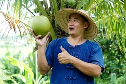 Asian man gardener holds organic coconut fruit, feels excited, Thumbs up. Concept : Agriculture crop in Thailand. Thai farmers grow coconuts 