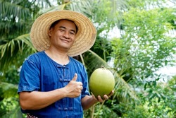  Happy Asian man gardener holds organic coconut fruit at his garden . Concept : Agriculture crop in Thailand. Thai farmers grow coconuts 