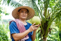 Happy Asian man gardener holds organic coconut fruit at his garden .Concept , Agriculture crop in Thailand. Thai farmers grow coconuts 
