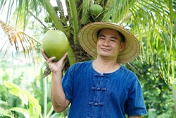 Happy Asian man gardener holds organic coconut fruit at his garden . Concept : Agriculture crop in Thailand. Thai farmers grow coconuts 