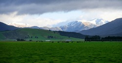 A cattle ranch in Southland, New Zealand.