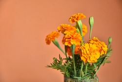 powdery background marigold (Tagetes erecta, Mexican marigold, Aztec marigold, African marigold)