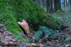 Ocarina in the spring forest: ceramic musical wind folk instrument near the root of a mossy tree and spruce branches