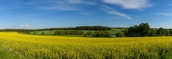 panorama view of landscape with yellow rape field, forests and small pond