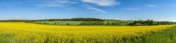 panorama view of landscape with yellow rape field, meadows and forests