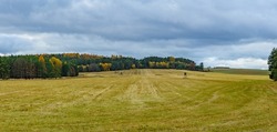 autumn landscape with field, high seats and forest