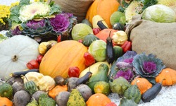Different  autumn,ripe vegetables