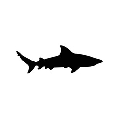 Bull Shark Silhouette Vector Illustration