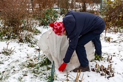 Winter Protection for Garden, winter shelter for garden plants, shelter rhododendrons