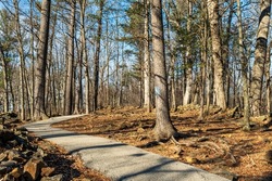 A paved walkway through the woods on Little Round Top in the Gettysburg National Military Park on a sunny winter day