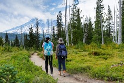 Two female Hikers hiking along Bench and Snow Lake trail in  Mount Rainier National Park, Lewis County, Washington.  The trail  is about 2.5 miles and 610 ft elevation gain.
