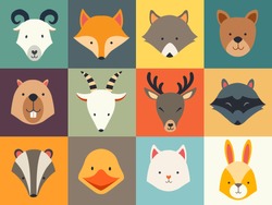 Set of cute animals icons, vector illustrations on colored background.