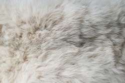 Close-up of soft white fur texture used for beautiful abstract b