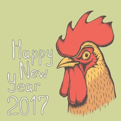 Vector Rooster bird illustration. Head of the rooster. 2017 new year of the rooster