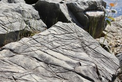 Glacial striations on a grey rock