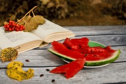 Fall snack with slice of juicy delicious watermelon, book on wooden table in garden. wasp is having treat.
