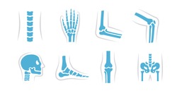 Vector set of knee, leg, pelvis, scapula, skull, elbow, foot, hand and other icons. Orthopedic and skeleton symbols on white background. Human joints and bones.