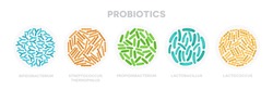 Set of probiotic bacteria. Good microorganisms concept isolated on white background. Propionibacterium, lactobacillus, lactococcus, bifidobacterium, streptococcus thermophilus, escherichia coli