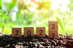 Changing year 2021 to 2022 in wooden blocks cubes with growing plant at sunrise. New year 2022, hope, hello and goodbye concept.