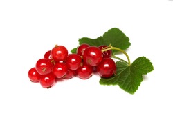 Red currant berries with green leaves close-up, isolate on a white background.