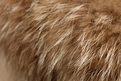 Faux fur close-up. The concept of abandoning natural fur, a two-way against natural fur, sustainable, ban the sale of fur